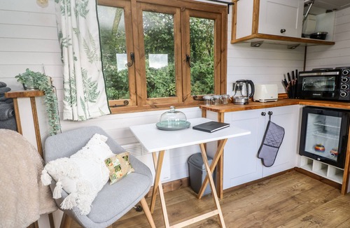 Brazzacott Cottage | Fern