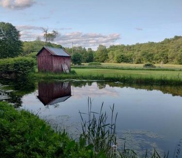 Fishs Eddy House | Fern Hollow Home
