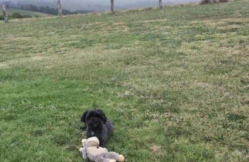 Fernbrook House | Fernbrook Lodge