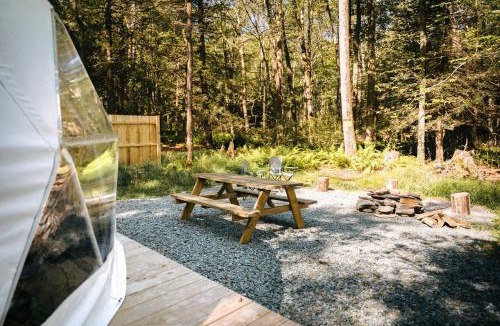 Grandview Other | Ferncrest Chambers Creek