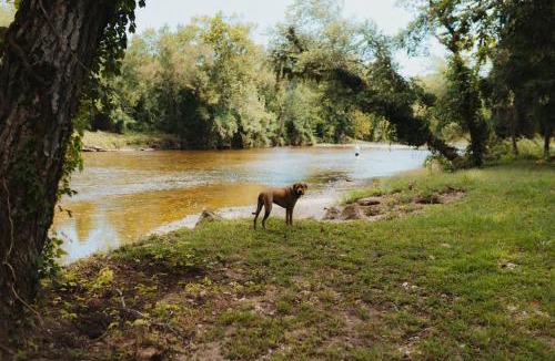 West Siloam Springs Other | Ferncrest Flint Creek