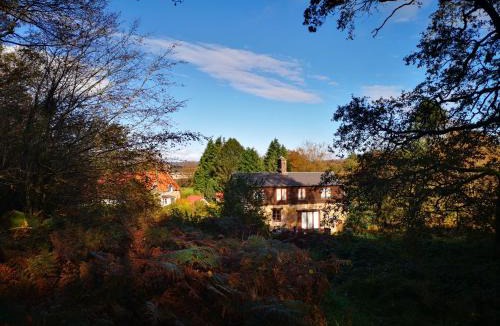 Saint-Michel-de-Montjoie House | Fernfields Rural Gite, couples price