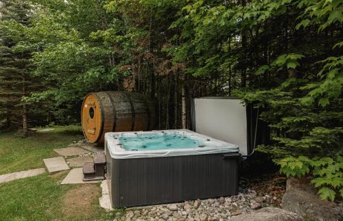 Fiddler Lake Resort Ski Chalet | Fiddler Lake Resort - Deer 41