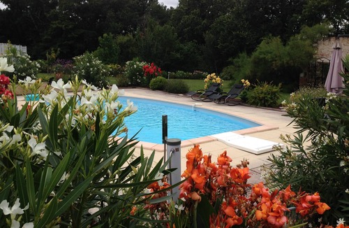 Marsac Villa | Field of birds