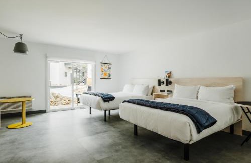 Yucca Valley Hotel | Field Station Joshua Tree