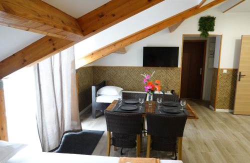 Le Blanc-Mesnil Apartment | Fiesta Apartment