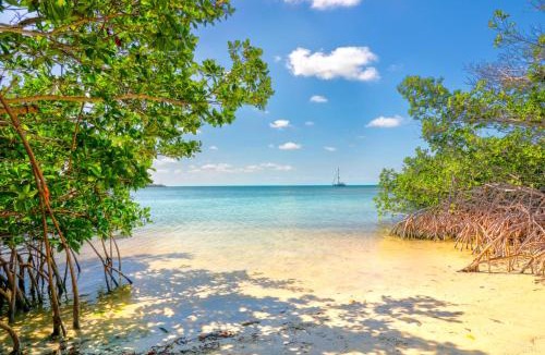 Long Key Resort | Fiesta Key RV Resort Standard Room 8
