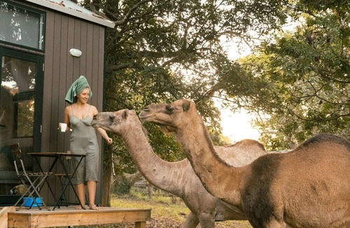 Darlington House | Fig Tree Cottage by Tiny Away