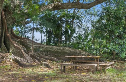 Teven House | Fig Tree House