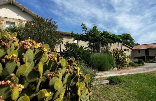 Chateauneuf-de-Galaure Apartment | Figuets 3