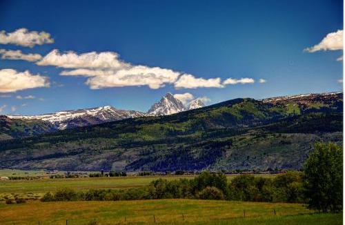 Victor Bed & Breakfast | Fin and Feather Inn