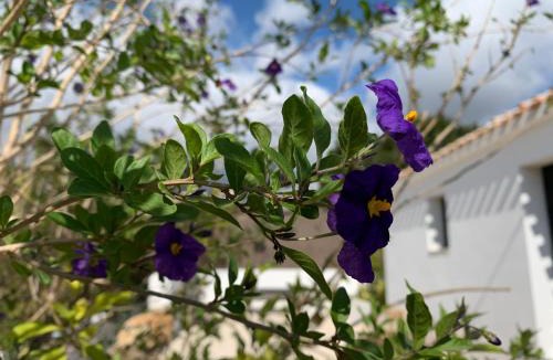 Tarraula Bed & Breakfast | Finca Bona Nit