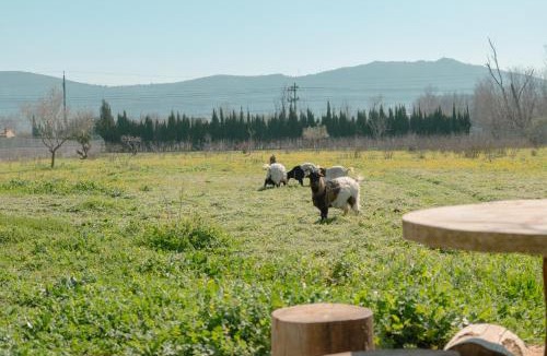 Ulldecona Villa | Finca el Placer