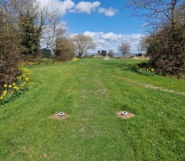 Tunley Other | Finch