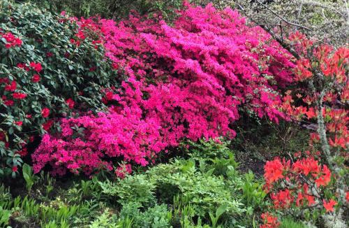 Port Glasgow Apartment | Finlaystone Family Barn