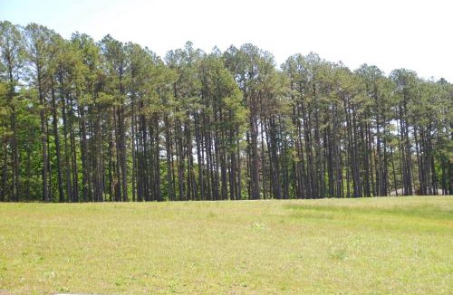 Grubville House | Fire Pit Cabin Retreat - Sleeps 6 - 1hr from STL