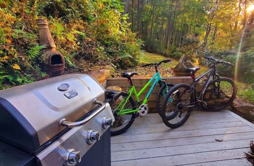 Hendersonville Cabin | Firefly Cabin-1930`s Retreat: Bikes, BBQ, walk dtn