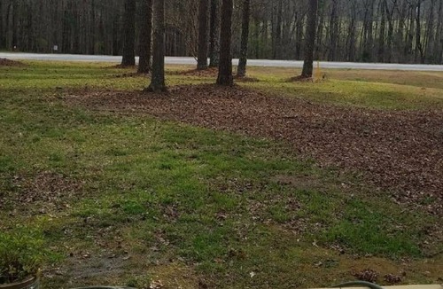 Rutledge Other | Firefly in Madison's sunroom