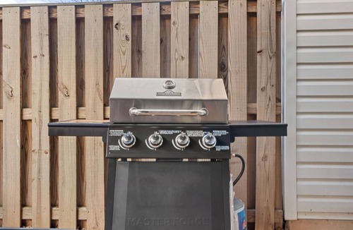 Centreville Apartment | Fireplace BBQ Grill Patio Treadmill