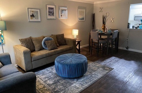 South Main Apartment | First Floor Med Center NRG Walkable-Metro Rail