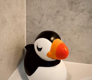 Burghead Apartment | Firth View, Burghead