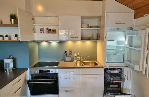 Darligen Apartment | "fischerhüsli" Directly on Lake Thun