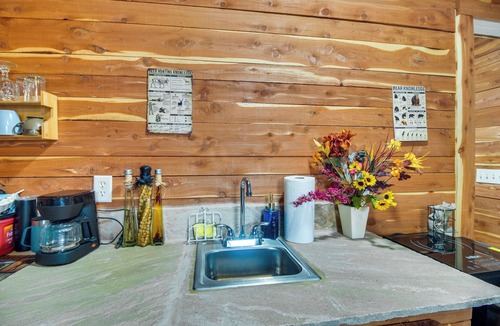 Ozark Apartment | Fish, Hike & More: Ozark Cabin on 300 Acres