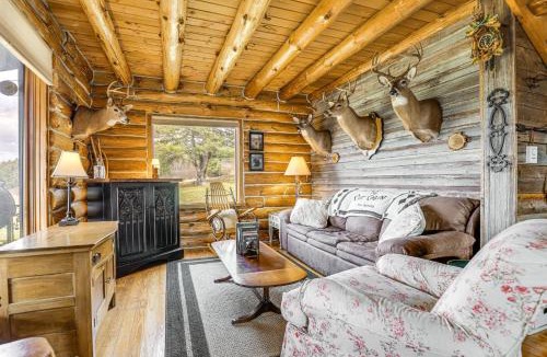 Hornell House | Fish & Hike on 180 Acres! Log Cabin in Almond