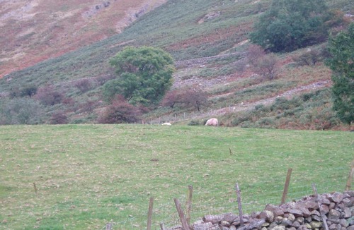 Thirlmere Hostel | Fisher-gill Camping Barn
