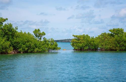 Marathon Hotel | Fisherman's Bungalow