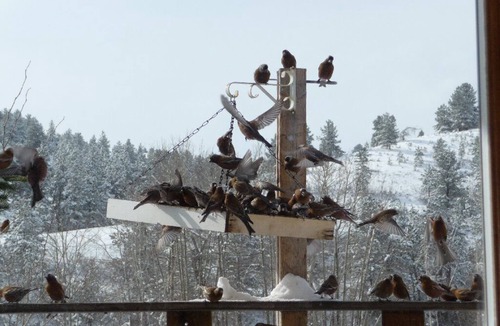 Fishtail House | Fishing, Bird Watching, and Star Gazing on Fishtail Creek