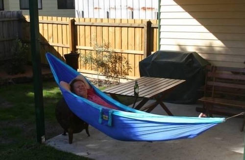 Cape Paterson House | Fitzgerald Cape Paterson