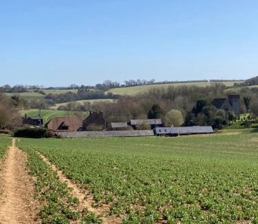 Elmsted Apartment | Five Cottages in AONB