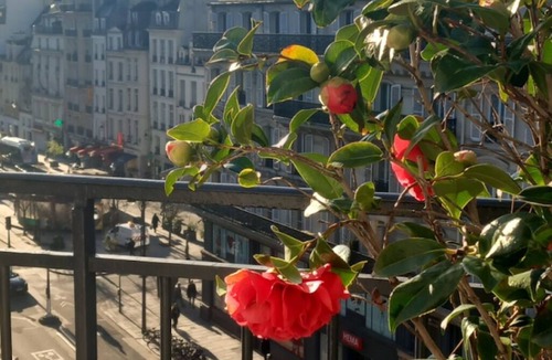 Saint-Gervais Apartment | Flat 100 M2 center of Paris, 6 persons, near metro and bus stations