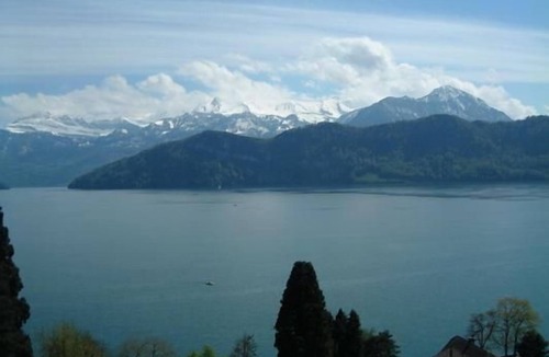 Weggis Apartment | Flat Alpenblick/02