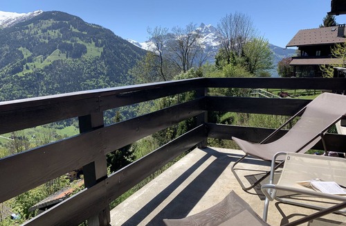 Barboleusaz Apartment | FLAT IN A CHALET