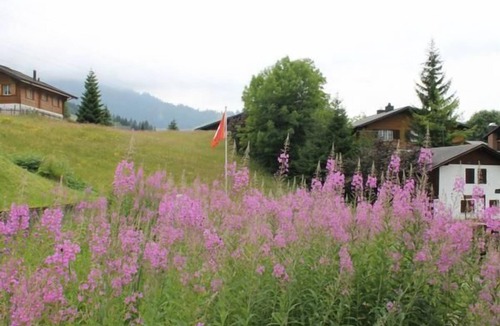 Wirzweli Ski Chalet | Flat in a smart holiday home