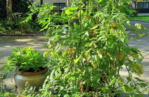 Osterbro Apartment | Flat with garden on Østerbro
