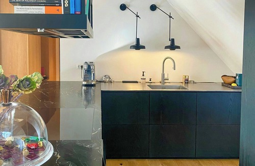 København V Apartment | Flat with rooftop terrace in central Copenhagen