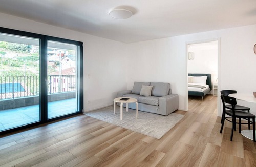 Gudo Apartment | Flat with vineyard view near Bellinzona (GRAPPOLI 28)