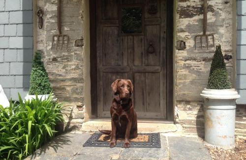 Totnes House | Fletchers Combe Farm