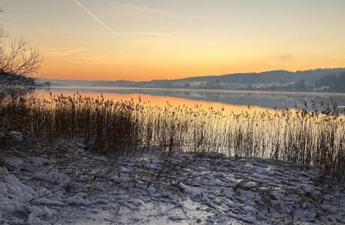 Oye-et-Pallet Apartment | Fleur d'eau