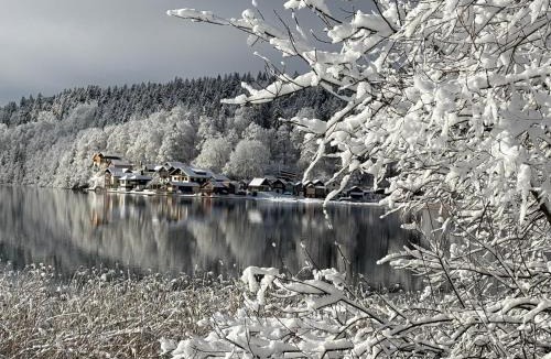 Oye-et-Pallet Apartment | Fleur d'eau