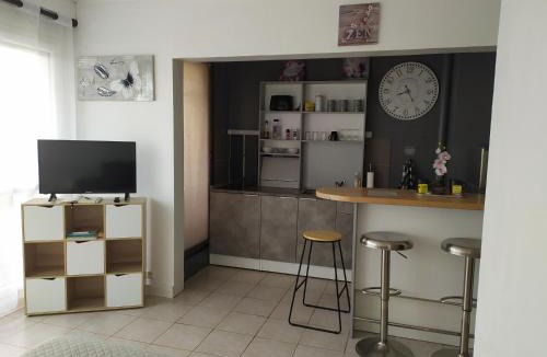 Sens Apartment | Fleur d'orchidée studio 99