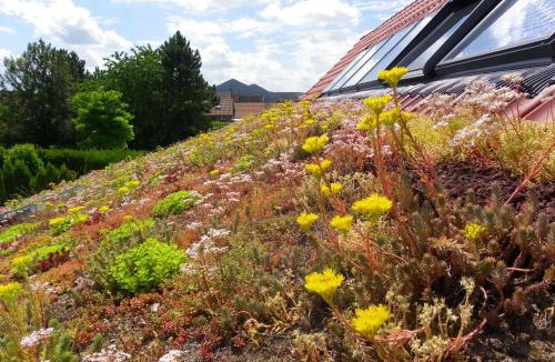 Loos-en-Gohelle House | Fleur de Ciel