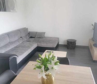 Saint-Germain-Lespinasse Apartment | Fleurs de Lys
