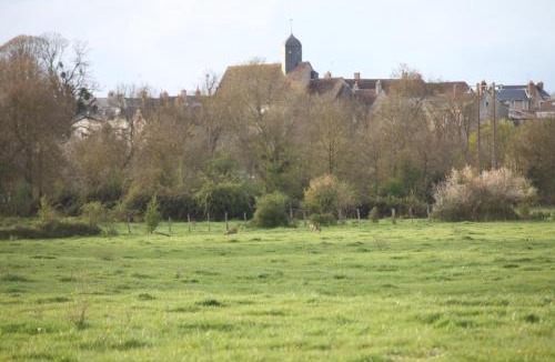 Neuille-le-Lierre Apartment | Fleurs de Brenne Gite