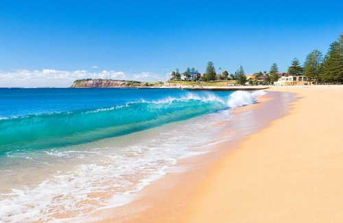 Collaroy Beach Apartment | Flight Deck - Iconic Beachfront