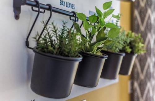 Wittering House | Flint House - Bracklesham Bay