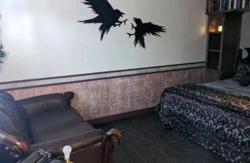 Shelley Apartment | FlintRock Retreat